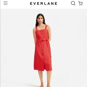 Everlane Japanese GoWeave Picnic Dress in Red